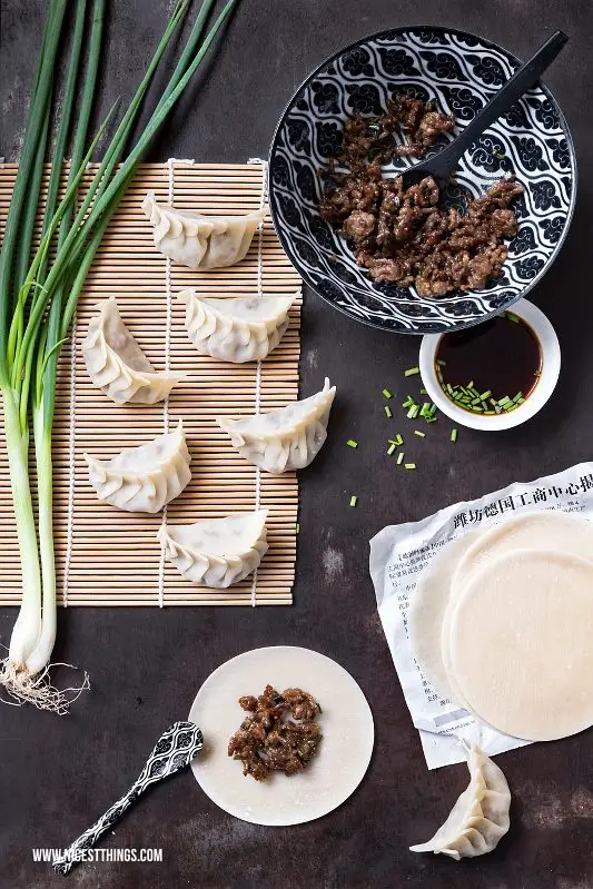 Jiaozi, Gyoza gedämpfte asiatische Teigtaschen Rezept Dumplings