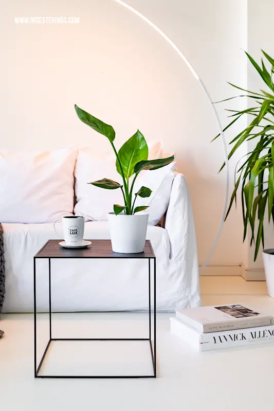 Schwarzer Couchtisch mit Strelizie vor weißer Couch, weiße gebogene Leseleuchte #couchtisch #wohnzimmer #strelizie